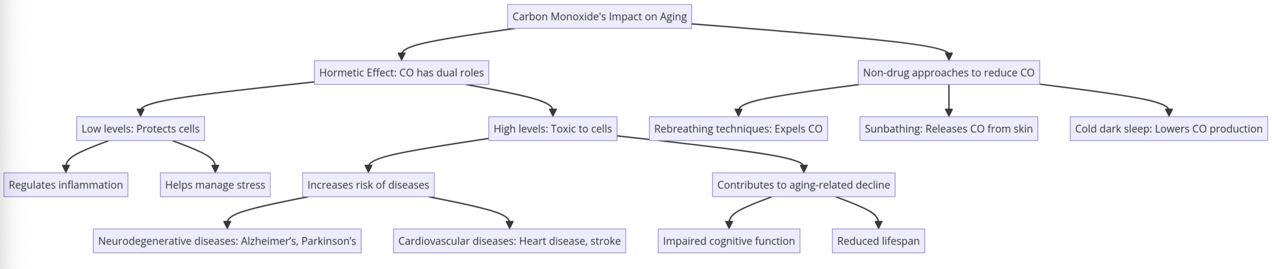 Carbon Monoxide and Aging, Health Effects of Carbon Monoxide, Carbon Monoxide Exposure Risks