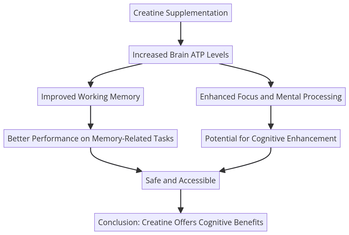 Creatine supplementation,Cognitive performance,Memory improvement (Conclusion Diagram)