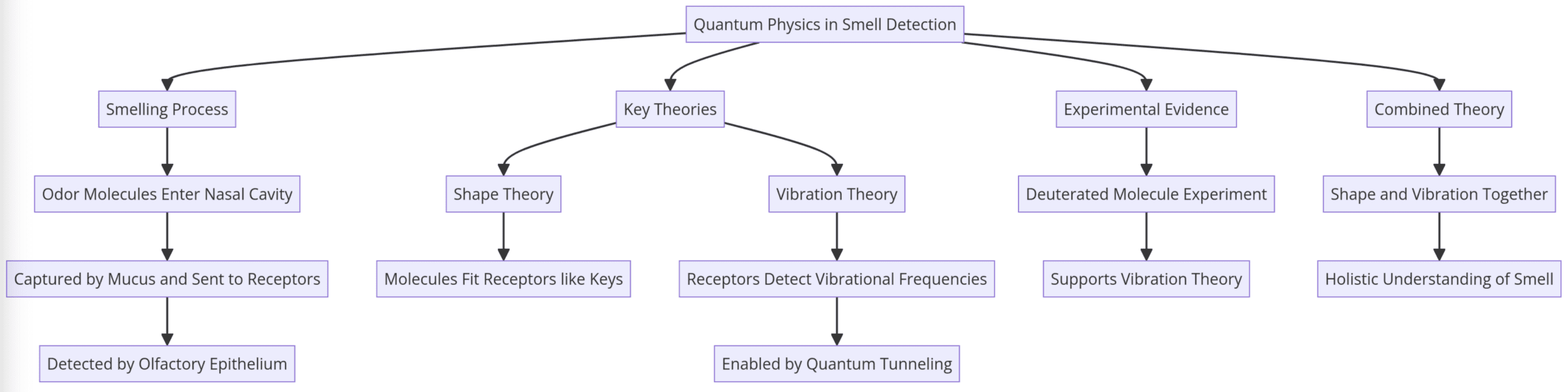 Quantum Physics in Olfaction, Vibration Theory of Smell, Quantum Mechanics and Scent: Detection and theories of smell detection through quantum physics principles.