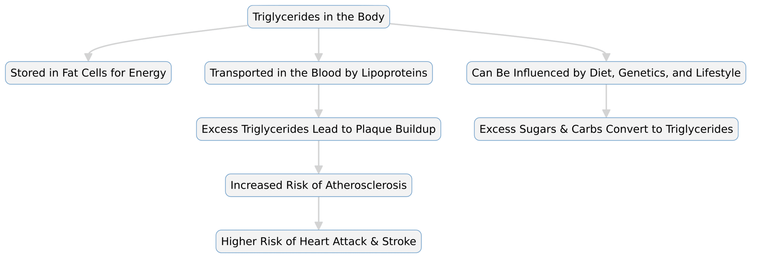 Fish Oil for Triglycerides, Omega-3 for Heart Health, Lower Triglycerides Naturally: How Triglycerides Affect the Body (diagram)